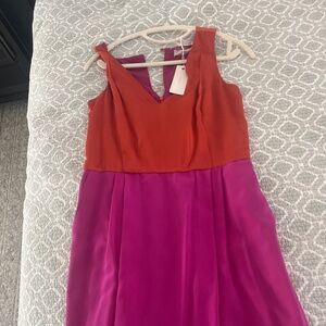 Cluny  Dress NWT
